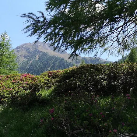 Fp Muehlmann&schoen 4*