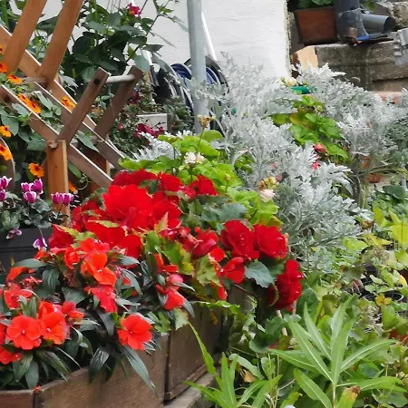 Fp Muehlmann&schoen Affittacamere Innervillgraten