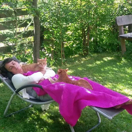 Fp Muehlmann&schoen Maison d'hôtes Innervillgraten