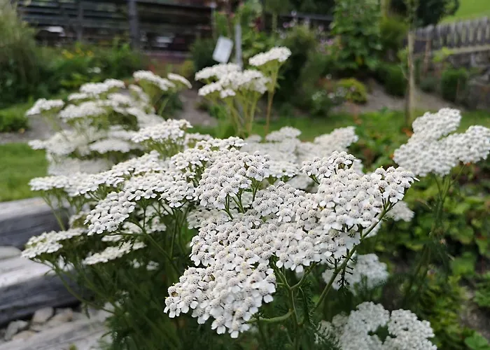 Guest house Fp Muehlmann&schoen