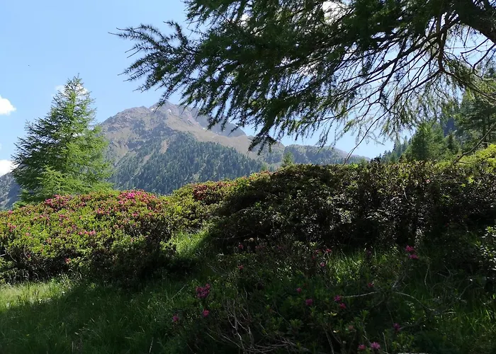 Fp Muehlmann&schoen 4*