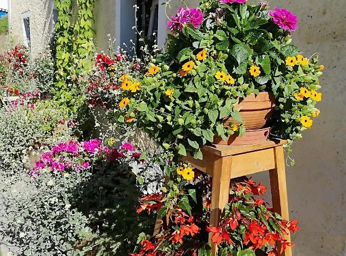 Guest house Fp Muehlmann&schoen 4*