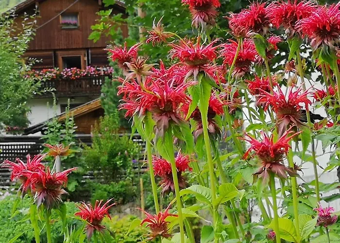 Fp Muehlmann&schoen 4*