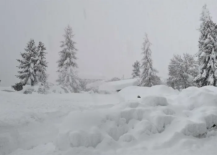 Fp Muehlmann&schoen Guest house 4*