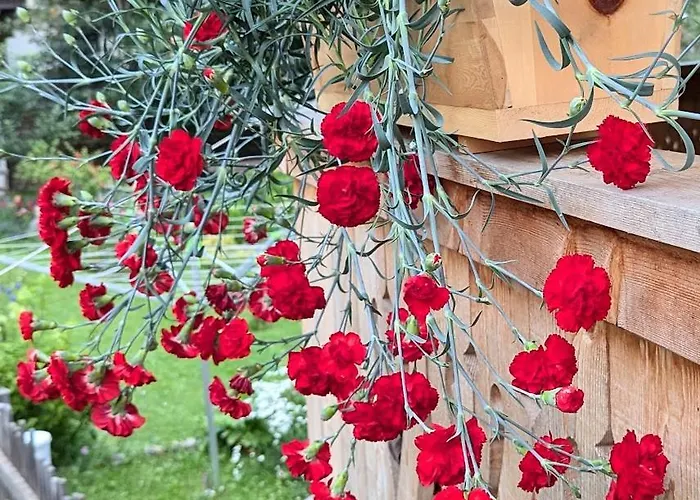 Fp Muehlmann&schoen 4*