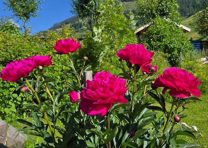 Fp Muehlmann&schoen Guest house