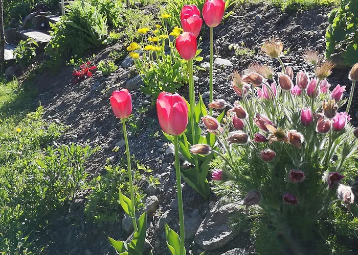 Fp Muehlmann&schoen Guest house Innervillgraten