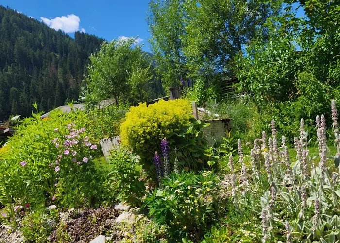 Guest house Fp Muehlmann&schoen