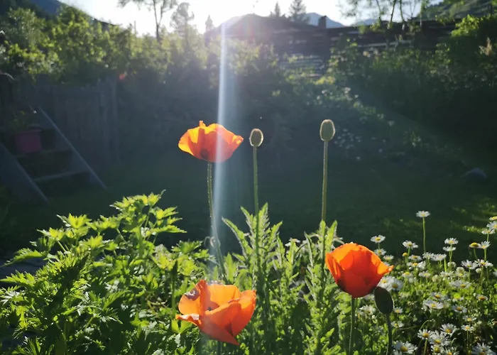 Fp Muehlmann&schoen 4*