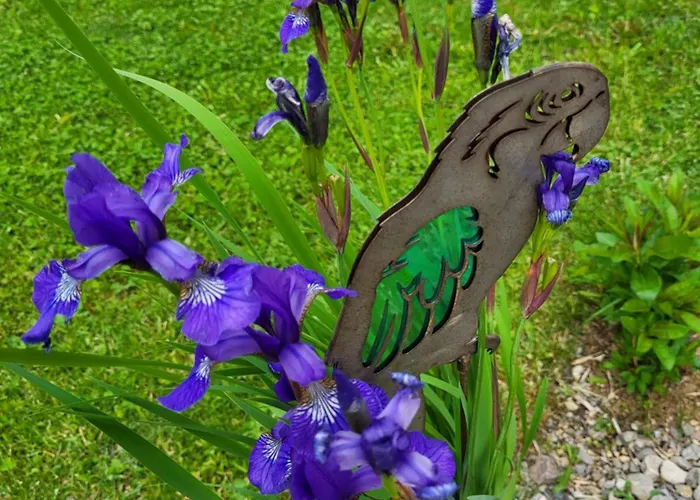 Fp Muehlmann&schoen Guest house