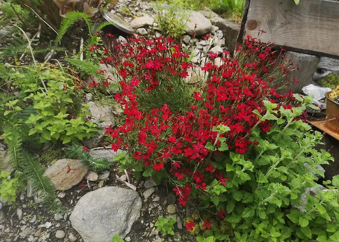 Fp Muehlmann&schoen 4*