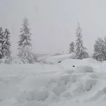 Fp Muehlmann&schoen בית הארחה 4*