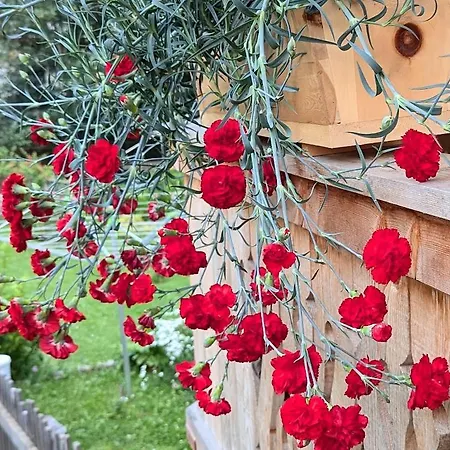 Fp Muehlmann&schoen 4*