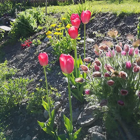 Fp Muehlmann&schoen בית הארחה אינרבילגרטן