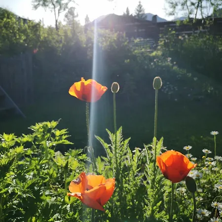 Fp Muehlmann&schoen 4*