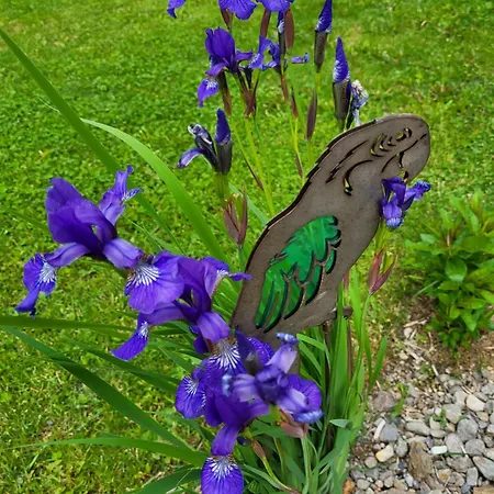 Fp Muehlmann&schoen בית הארחה