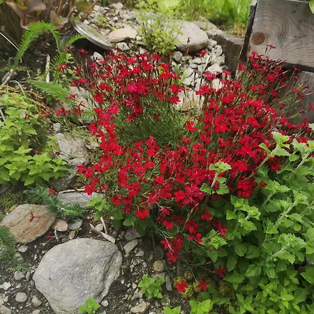 Fp Muehlmann&schoen 4*