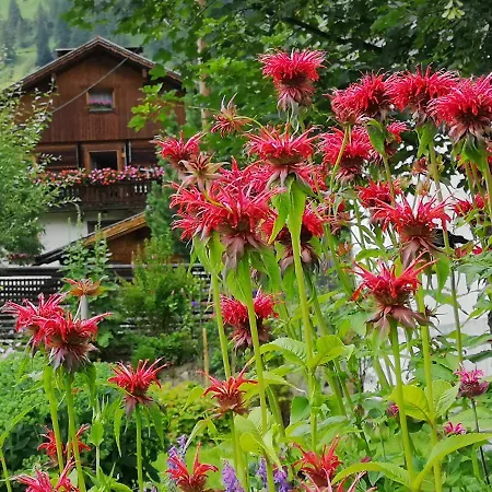 Fp Muehlmann&schoen 4*