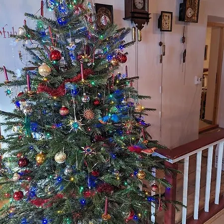 Vendégház Fp Muehlmann&schoen