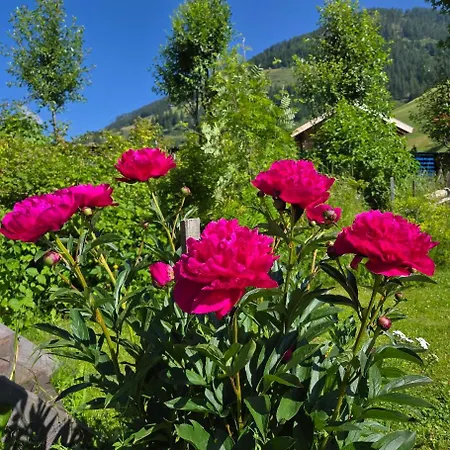 Fp Muehlmann&schoen Vendégház