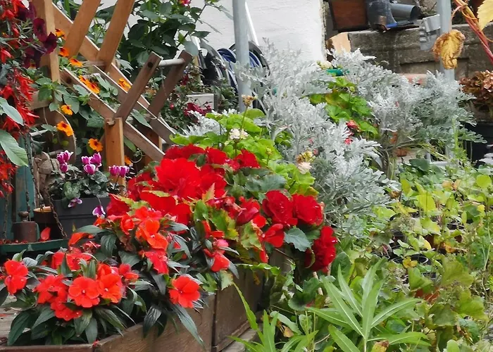 Fp Muehlmann&schoen Maison d'hôtes Innervillgraten